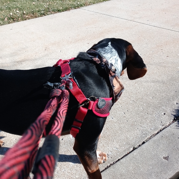 Wholesale Estate Luxury Fashions - Picture 9 of 16